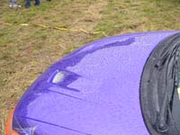 petershagen_2006_164