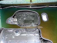 petershagen_2006_190