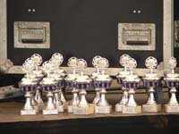 petershagen_2006_271