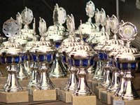 petershagen_2006_278